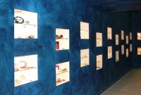 /album/negozi/acquario-club-009-jpg/